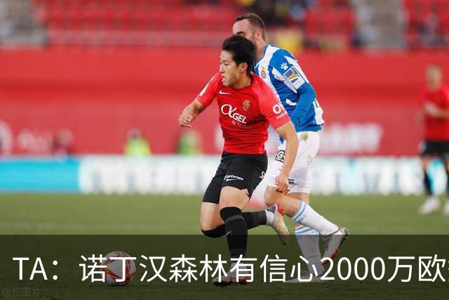 TA：诺丁汉森林有信心2000万欧签下葡萄牙U21国脚古斯塔沃·萨